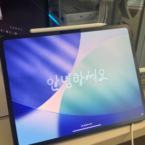 아이패드 프로 M4 13 256GB 와이파이 + 애플펜슬