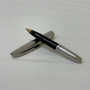 플래티넘 만년필(300)