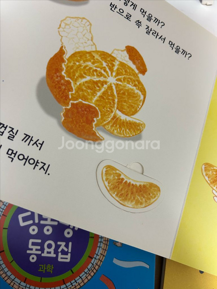 아람 베이비올 수과학 전권 세이펜버전 (택포)--4