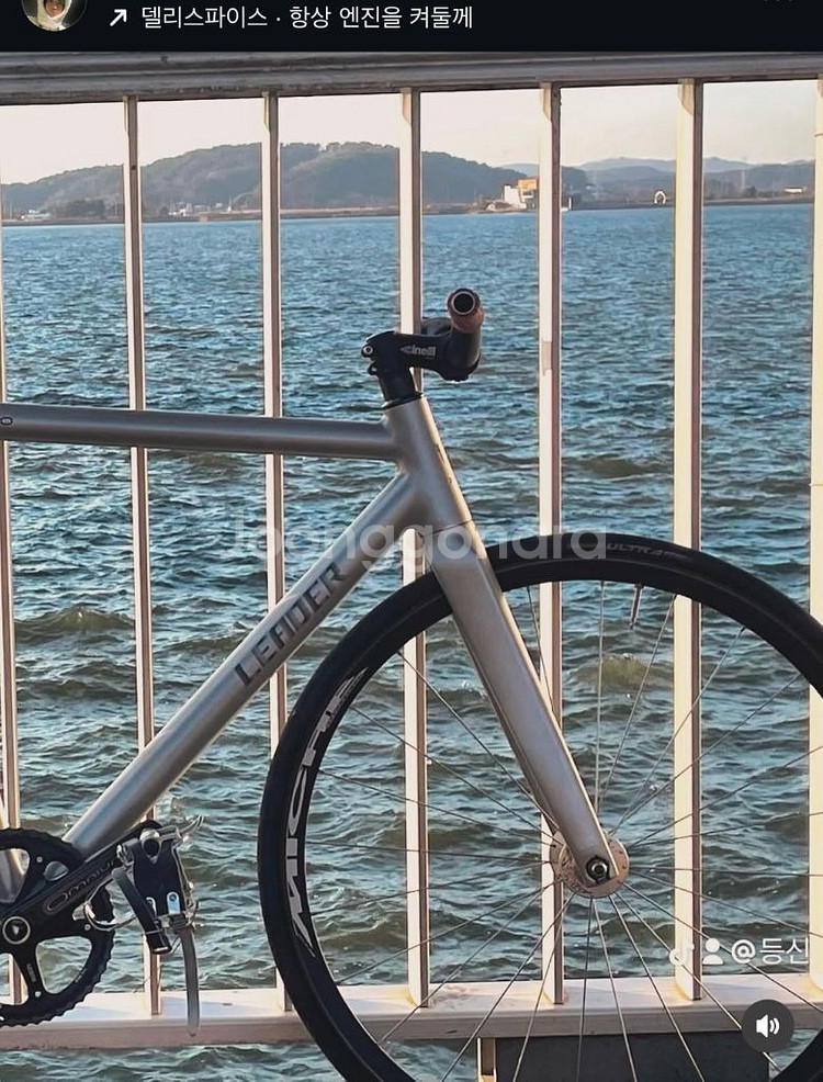 치넬리 히스토그램 픽시 구매합니다--0