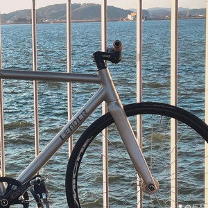 치넬리 히스토그램 픽시 구매합니다