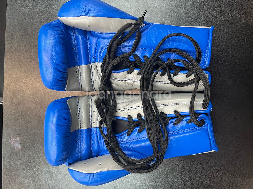 WEBOX 복싱글러브 12온즈--1