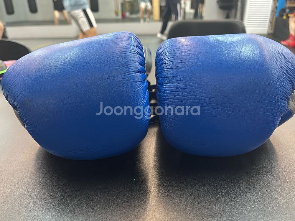 WEBOX 복싱글러브 12온즈--2