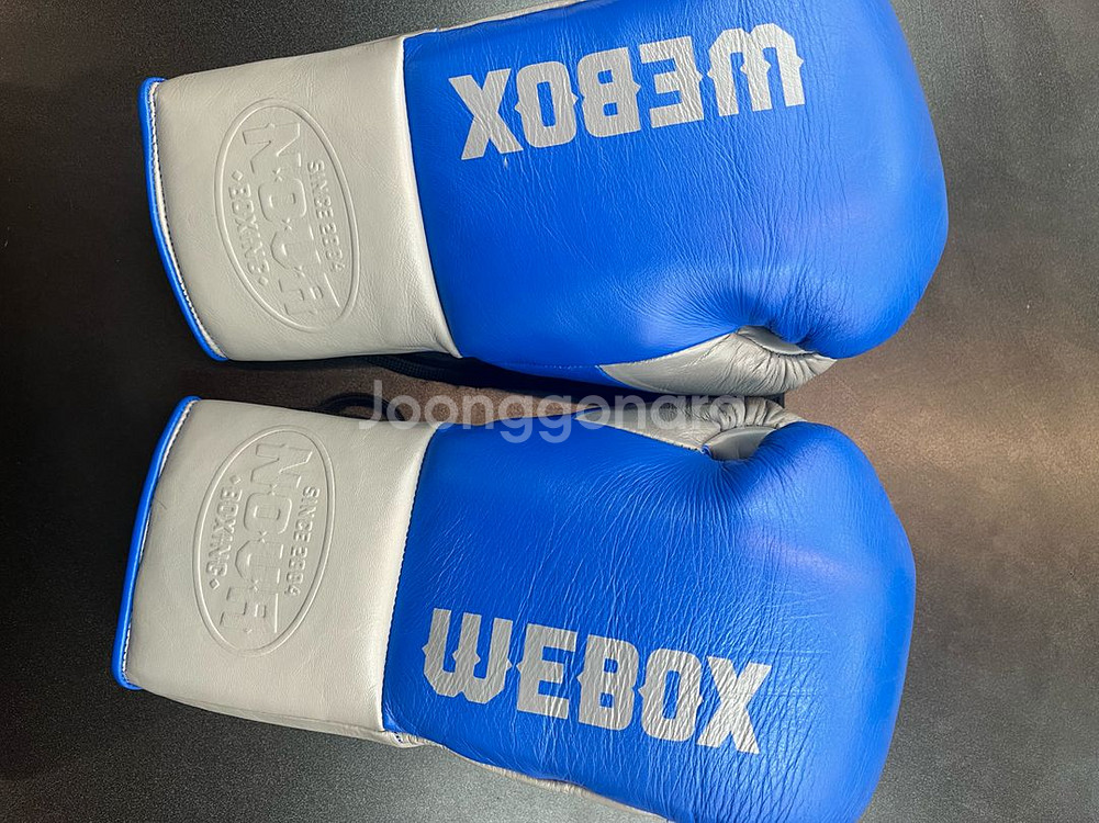 WEBOX 복싱글러브 12온즈--0