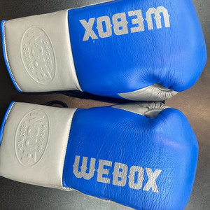 WEBOX 복싱글러브 12온즈