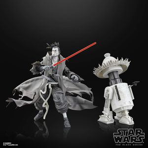 스타워즈 블랙시리즈 비전 로닌&R5-D56