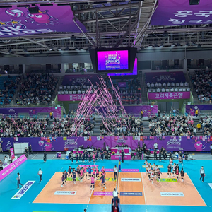 여자배구 흥국생명 vs 페퍼저축은행 11/2 C2 1석