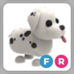 입양하세요 달마시안 (산강)