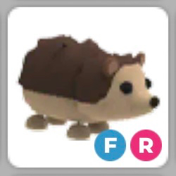 입양하세요 도치--0