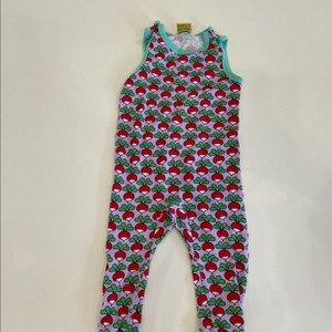 던스 스웨덴 순무 덩가리 80