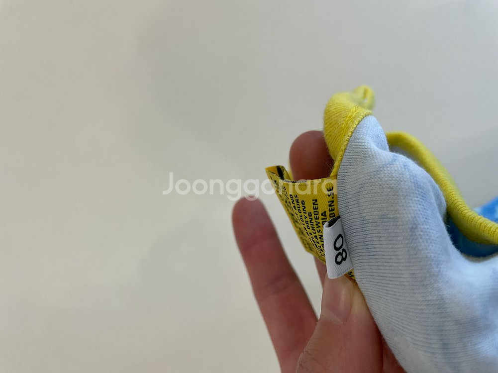 던스 스웨덴 순무 덩가리 80--3