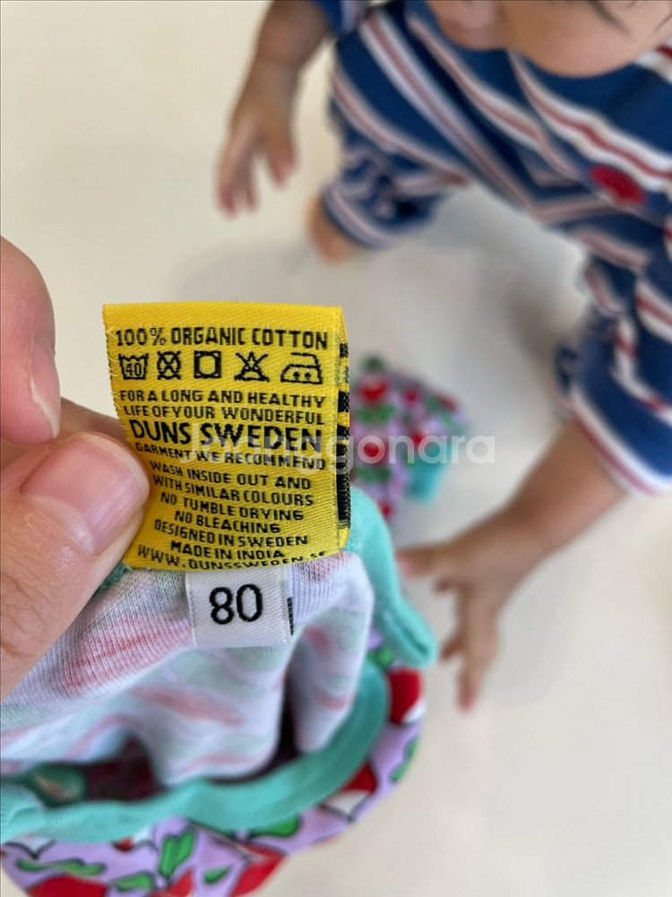 던스 스웨덴 순무 덩가리 80--1