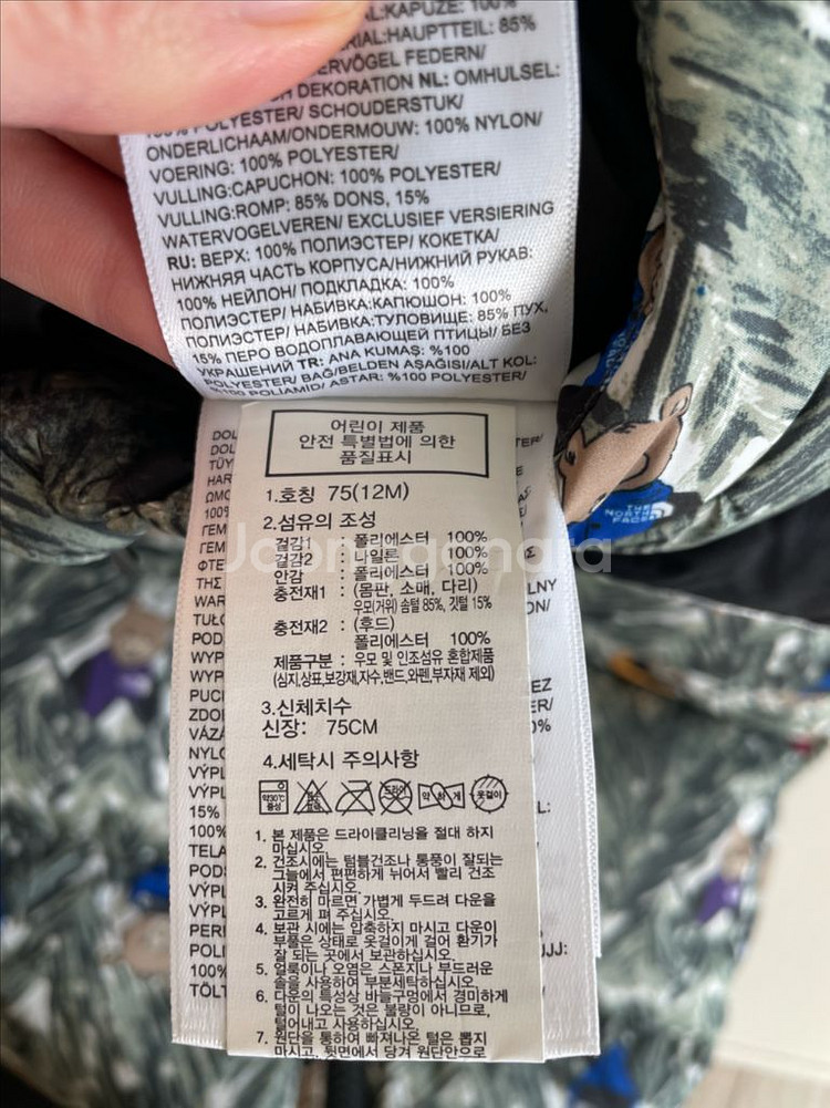 던스 스웨덴 순무 덩가리 80--9