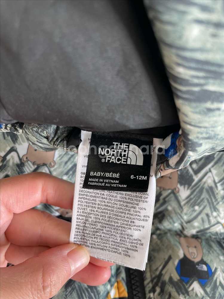 던스 스웨덴 순무 덩가리 80--8