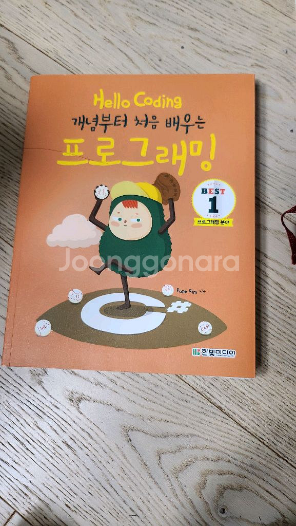 Hello Coding 프로그래밍 입문서--0