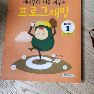 Hello Coding 프로그래밍 입문서