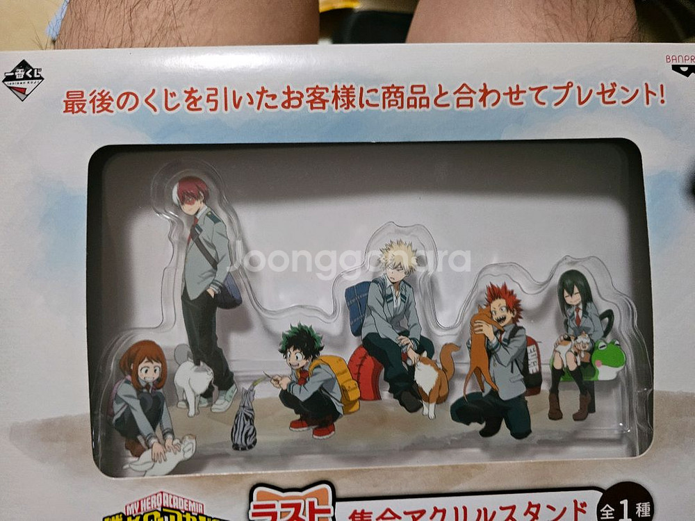 나히아 히로아카 제일복권 네코쿠지 A상D3종 제외 올컬 나의히어로아카데미아--5