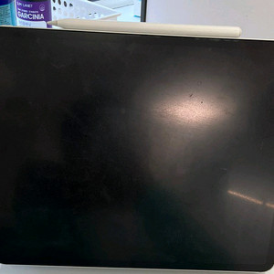 아이패드프로12.9 4세대256g셀룰러 매직키보드펜슬2