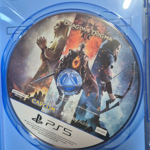 PS5 드래곤의 도그마 2