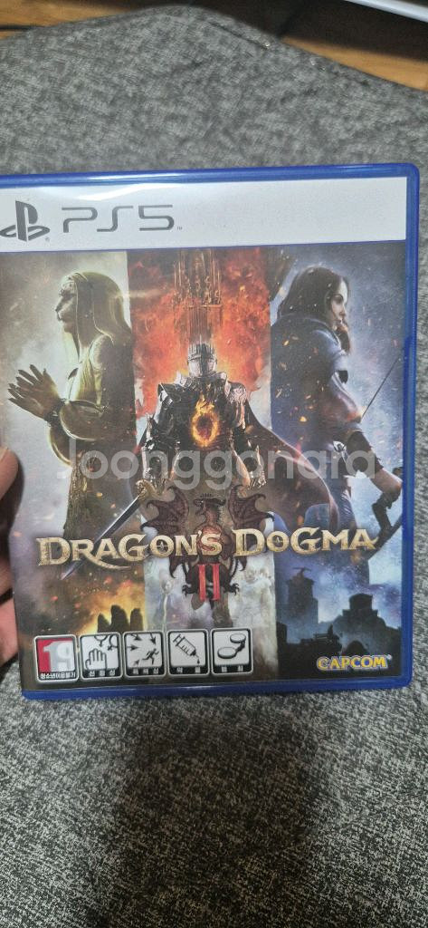 PS5 드래곤의 도그마 2--1