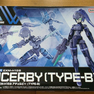 30MM 아체르비 타입 B