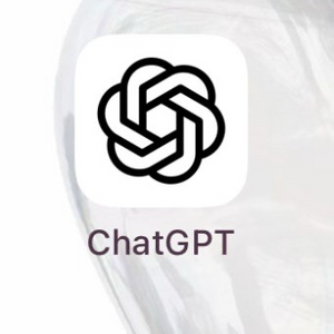 챗지피티 플러스 분철 쉐어