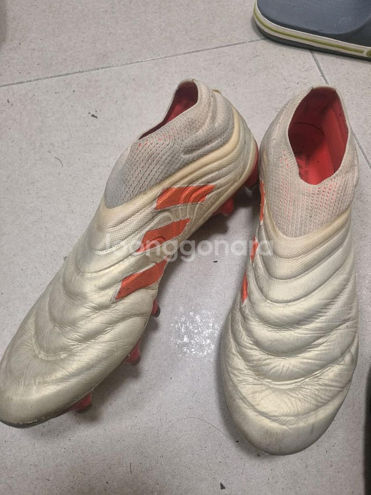 아디다스 코파 19+ 축구화--0