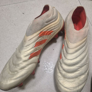 아디다스 코파 19+ 축구화