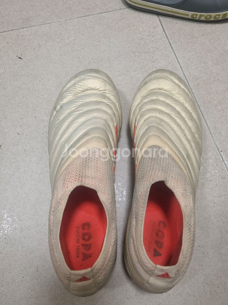 아디다스 코파 19+ 축구화--1