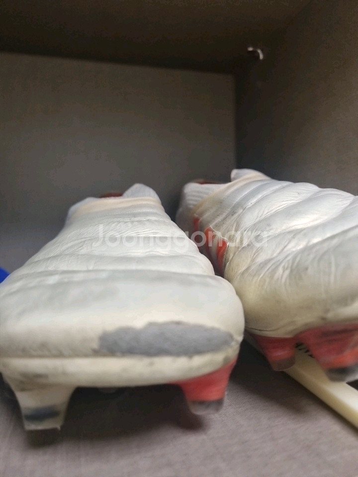 아디다스 코파 19+ 축구화--3