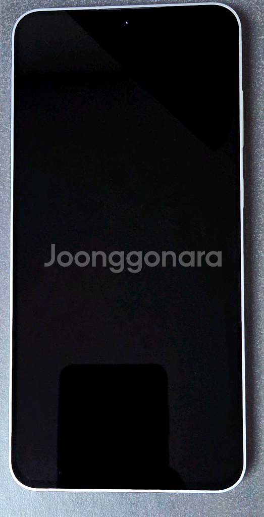 갤럭시 S25 FE--2