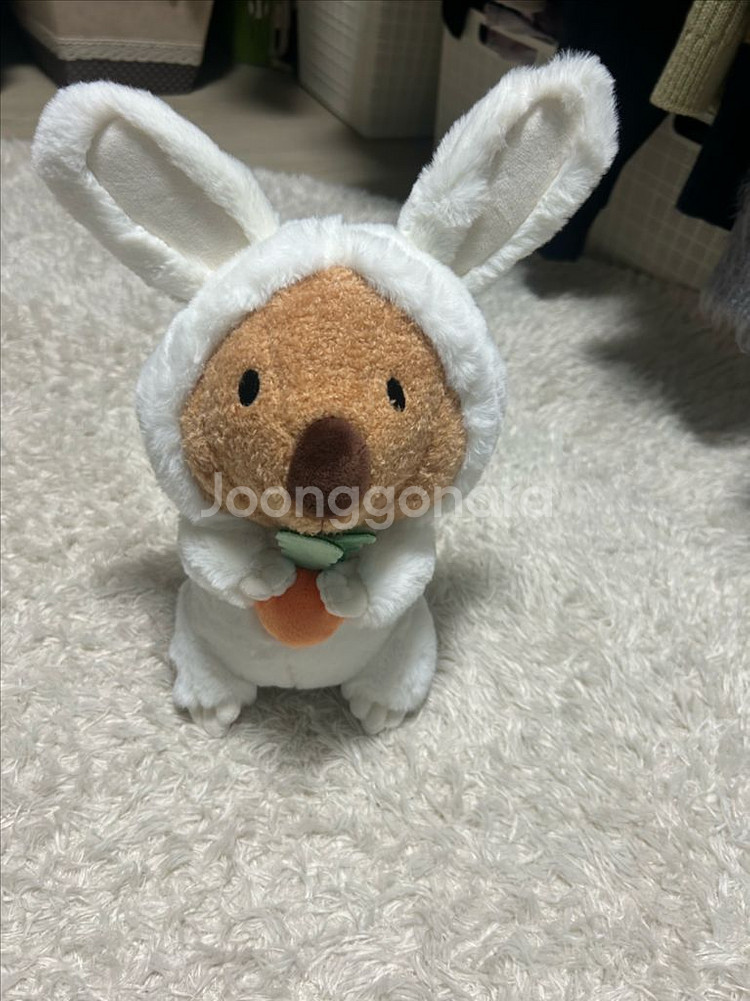 (새상품) 쿼카 코카 코스튬 당근 중형 인형--0