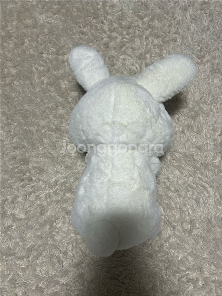 (새상품) 쿼카 코카 코스튬 당근 중형 인형--3