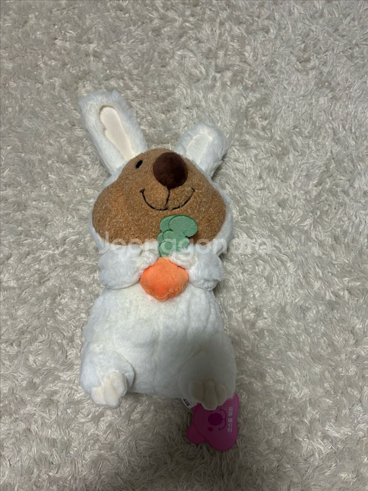 (새상품) 쿼카 코카 코스튬 당근 중형 인형--1