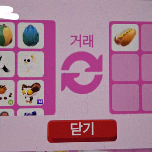 입양하세요 펫 삽니다