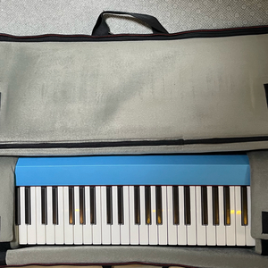 Dexibell VIVO S1 정품 소프트케이스 및 페달 풀세트(휴대가 편리한 건반)