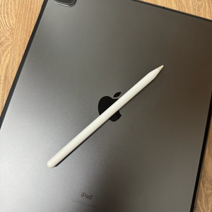 S급) 아이패드 프로11 4세대 + 애플펜슬 2세대 + 신지모루 케이스