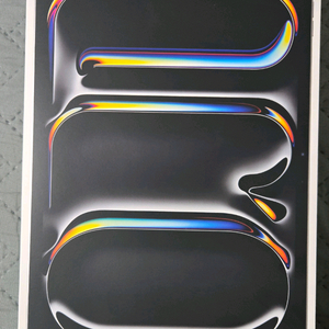 아이패드 프로 11 m4 256gb