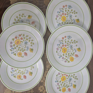 코렐 스프링메도우 접시6p+소서3