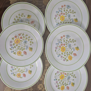 코렐 스프링메도우 접시6p+소서3