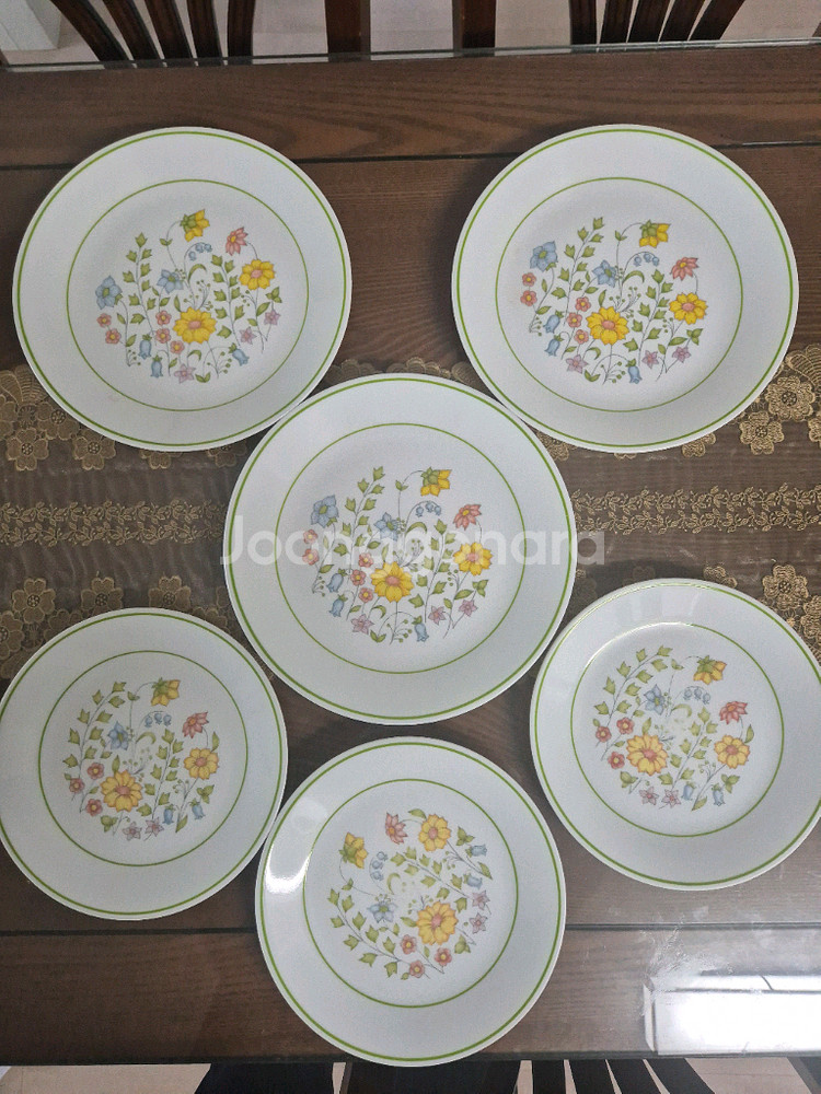 코렐 스프링메도우 접시6p+소서3--1