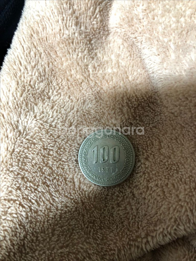 1971년 100원 동전--1