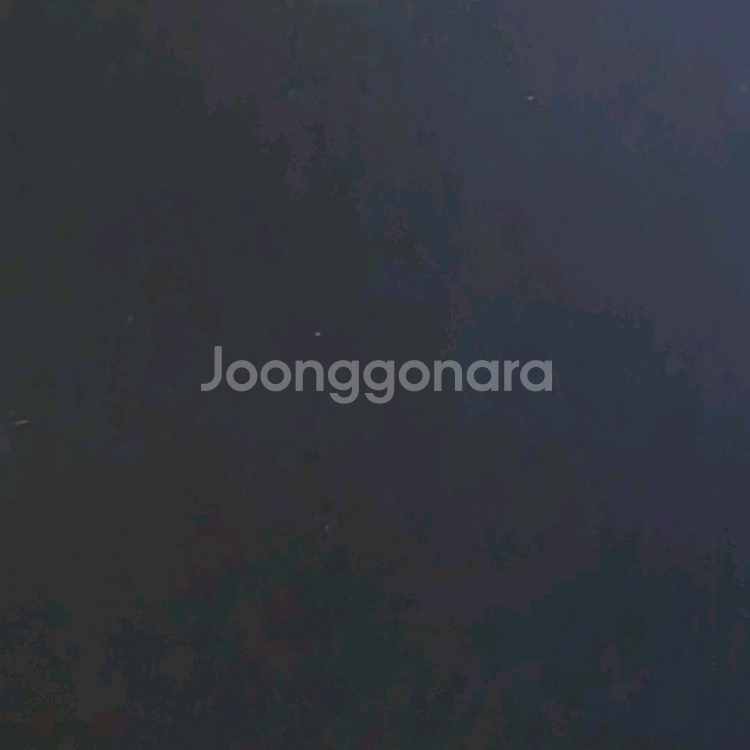 티머니 189000원 팝니다--0