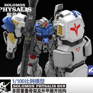 MG 프라모델 솔로몬 사이살리스+mlrs+ 투명외장