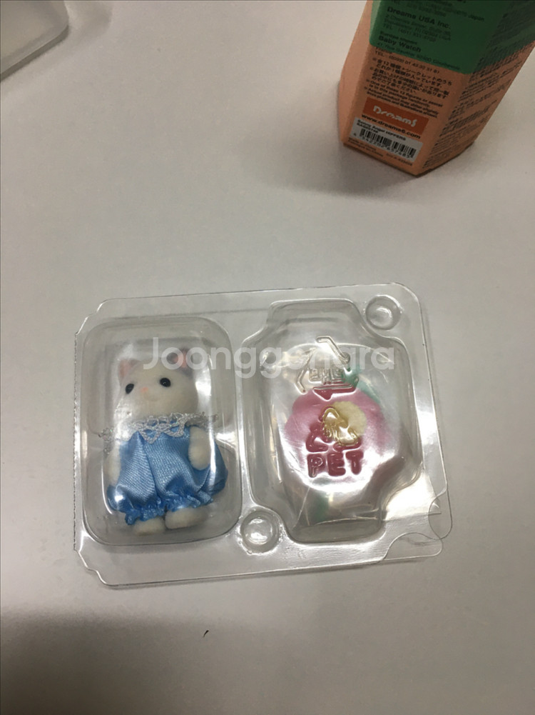 실바니안 블라인드팩 아기 꽃밭친구 라떼고양이--0