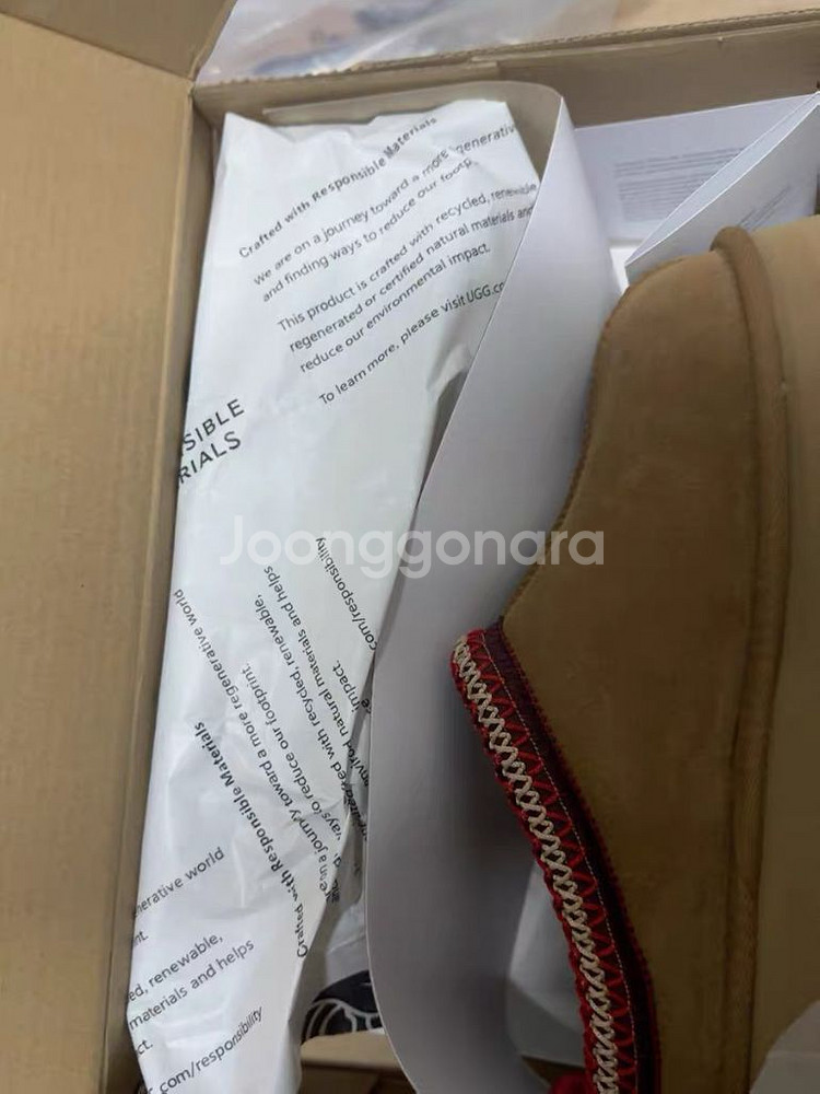 어그-타즈1122553(240)--0