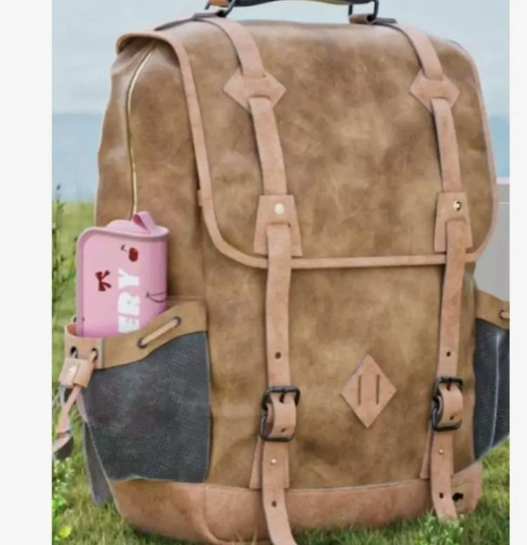 핑크 체리 캠핑용 의자 휴대용 의자 어린이 의자 이미지