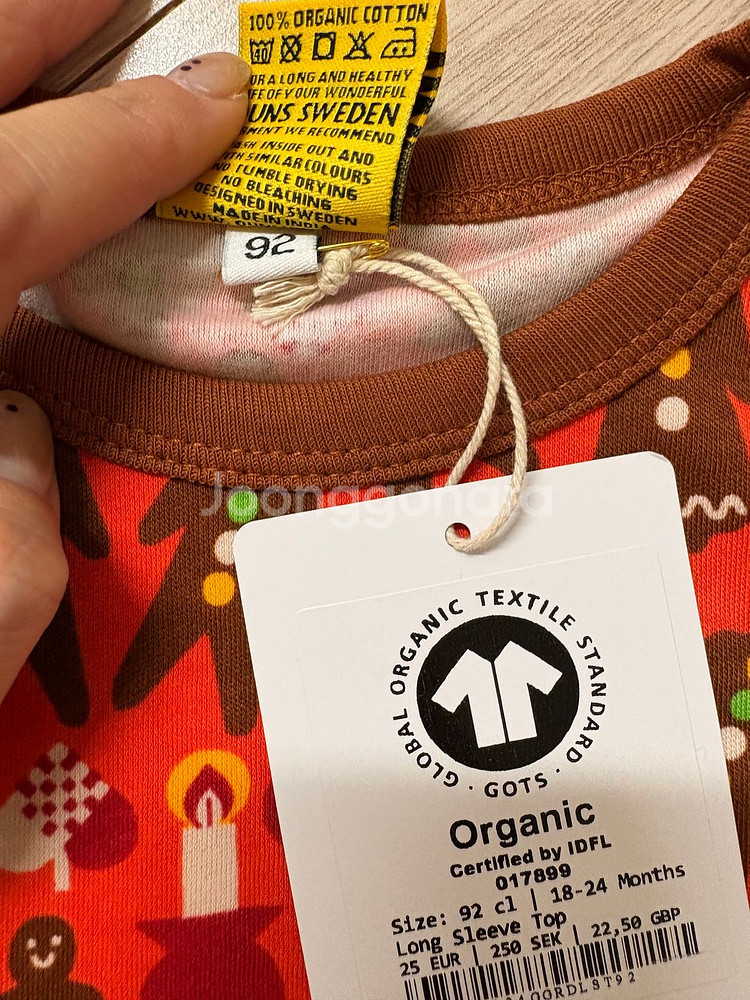 던스 진저긴팔 일괄--3