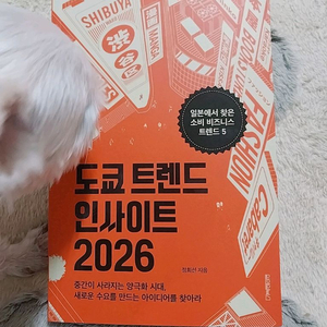 도쿄트렌트 인사이트 2026