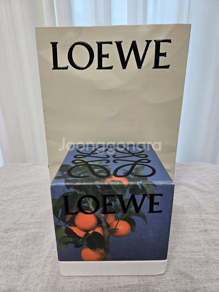 로에베 오렌지베리 캔들 새상품--1